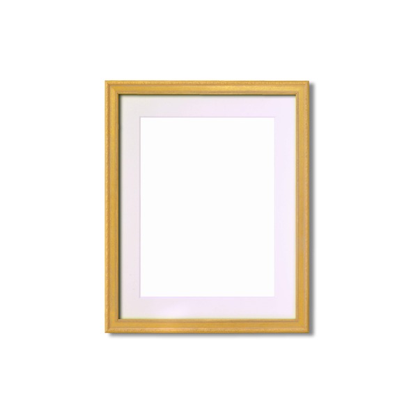 〔 軽量水彩額 〕 柄入り 水彩額 マット付 F6 ゴールド 金水彩額 銀水彩額 UV 紫外線 カットアクリル 額 額縁 フレーム