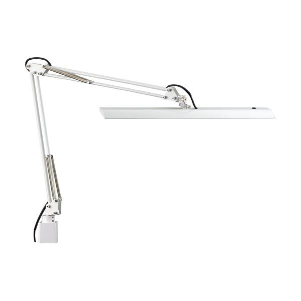ľ Z饤 LED 11.9W ۥ磻 Z-10RW 1