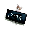 三毛猫 スマホスタンド スマホ立て 生活雑貨 日用雑貨(2)