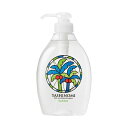 (まとめ)サラヤ ヤシノミ洗剤 本体 500mL ポンプ付【×10セット】(3)