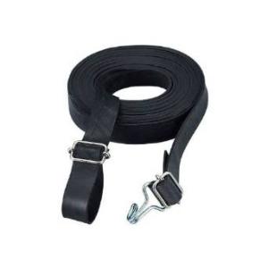 TRUSCO トラスコ中山 TRUSCO ゴムロープ金具付き Wフックバックル付 20mmX3.0m 1本 GR-2030KW-1 (P)