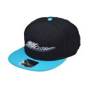 大橋漁具 鱒レンジャーフラットキャップ AQUA/BLACK