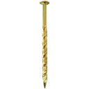 ダイドーハント SP真鍮スクリュー釘丸頭400g #12×50