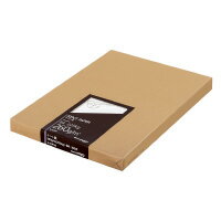  饱Ȼ B4 260g 100 (-KP44)