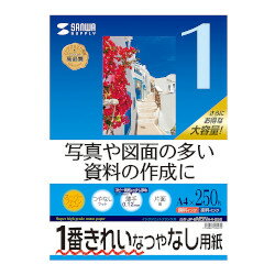 SANWASUPPLY 掠ץ饤 󥯥åѥѡեѻA4250ꡡJP-EM5NA4-250