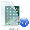 SANWASUPPLY サンワサプライ Apple 9.7インチiPad 2017用ブルーライトカット液晶保護フィルム(LCD-IPAD8BC)