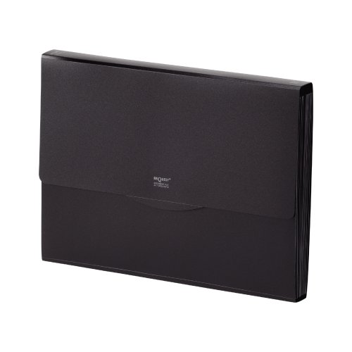 リヒト リクエスト 不透明ドキュメントファイル 24黒 G5800 G5800-24 1冊