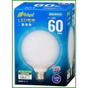 OHM ŵ LEDŵ ܡ(60/825lm//G95/E26/۸240/̩ķб) LDG6D-G AG24