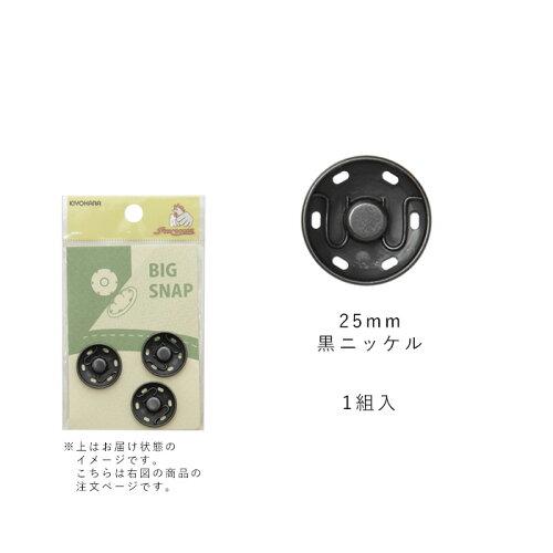 (KIYOHARA) κۺۥӥåʥå (SUN17-08)3