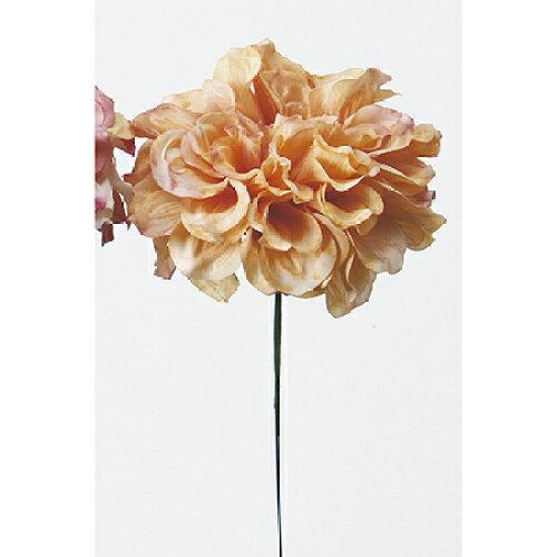 アスカ(Asca) Aー31451 ダリアピック#004 ピーチ (72-31451-4)