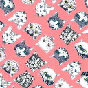 清原(KIYOHARA) 【布・生地】Ringo fabric シーチング 生地 ワンダフルネコズ カットクロスあり【2022新作】 (RINF-09C)