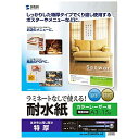 SANWASUPPLY サンワサプライ カラーレーザー用 耐水紙・特厚 A3サイズ LBP-WPF22MDPN-A3