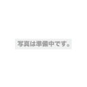 BUFFALO バッファロー シリンダー錠タイプワイヤーロック Nanoスロット対応マスターキー仕様(BLC09M)