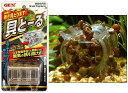 GEX(ジェックス) 貝とーる 【お手入れ用品/メンテナンス用品/アクアリウム用品】
