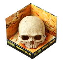 GEX(ジェックス) Exo-TERRA スカル 【アクセサリー/爬虫類用/飼育用品】