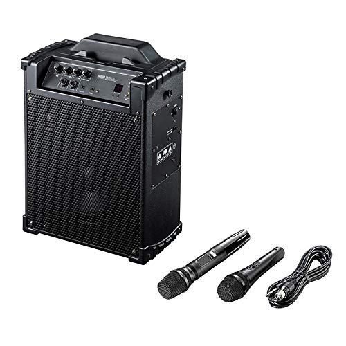 SANWASUPPLY サンワサプライ MM-SPAMP10