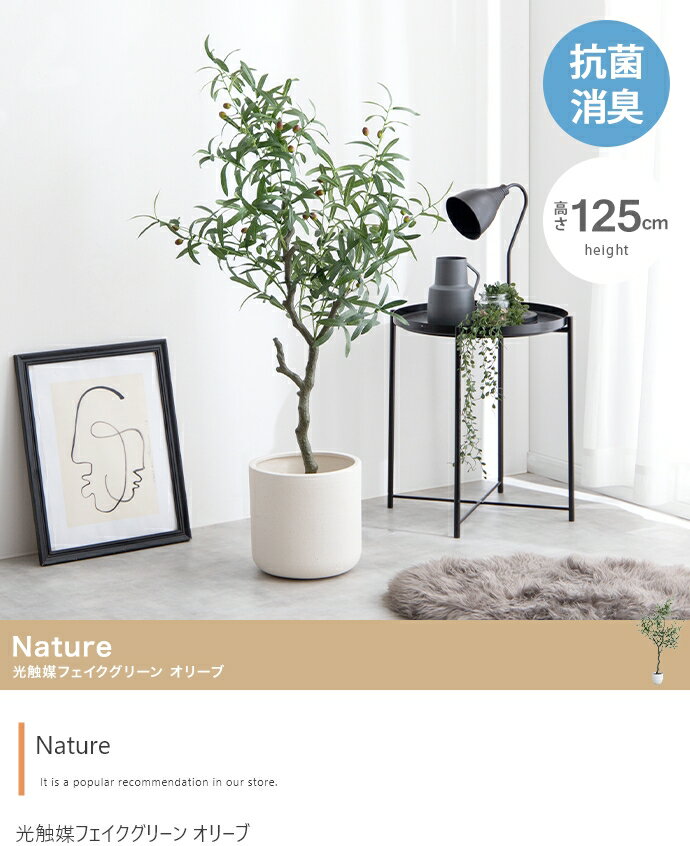 ڹ⤵125cmNature ޿͹տʪ ꡼֡顼꡼162004_GR