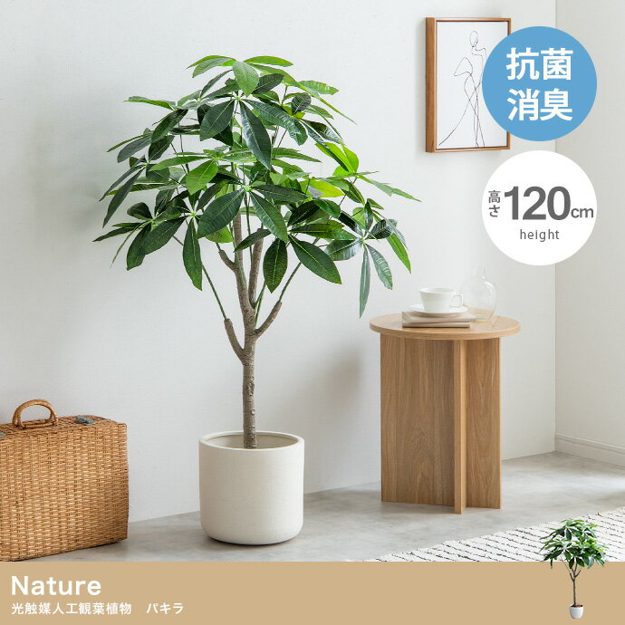 ڹ⤵120cmNature ޿͹տʪѥ顡顼꡼162007_GR