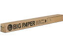 模造紙プルタイプ BIG PAPER 25mmドット罫 20枚 マルアイ D-21