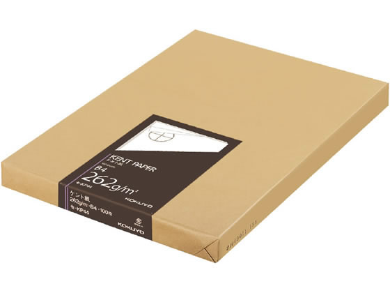 Ȼ B4 100 262g  -KP44