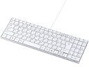 USBスリムキーボード テンキー付き ホワイト サンワサプライ SKB-SL17WN