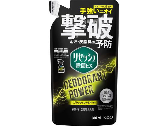 ꥻåEX ǥɥȥѥ ץå奷ȥ饹 310mL KAO