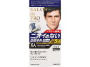 サロンドプロ メンズスピーディ6A 赤みを抑えた黒褐色 ダリヤ