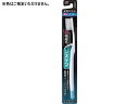 システマ ハブラシ レギュラー 4列 ふつう ライオン
