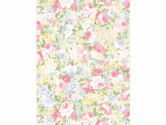 包装紙 楽園 半才判(528×750mm) 50枚 タカ印 49-1507