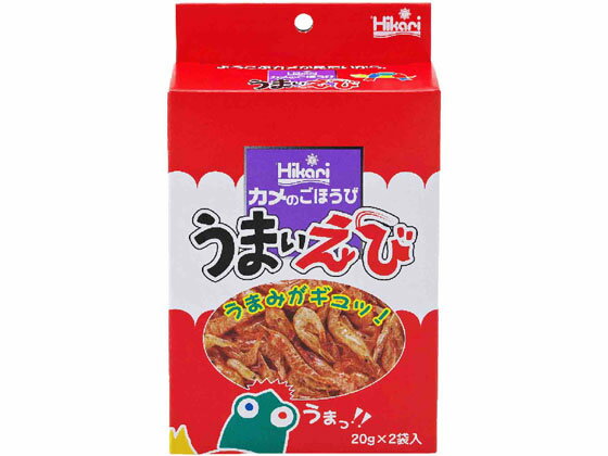 Τۤ ޤ 20g2 硼 586811