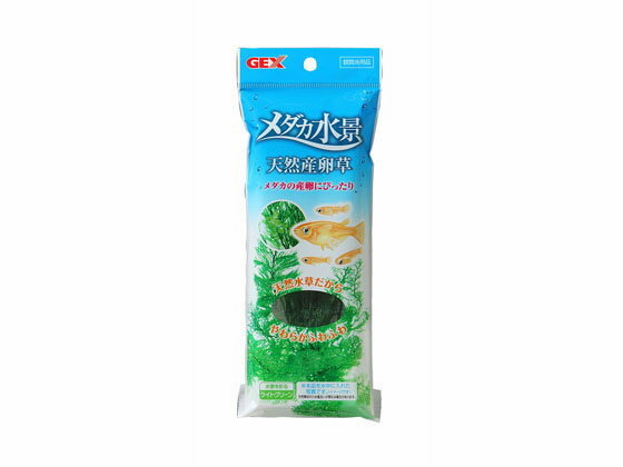メダカ水景 天然産卵草 ジェックス