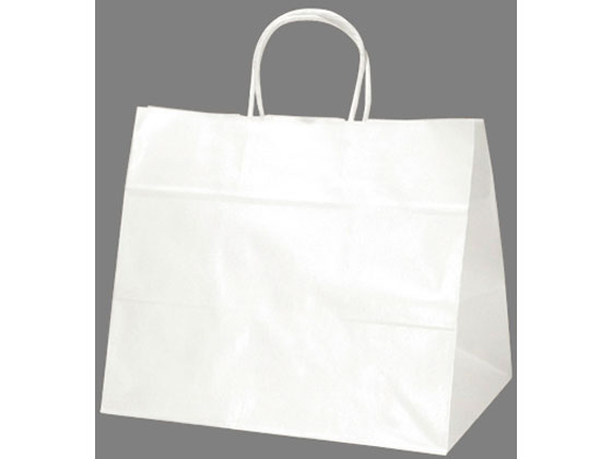 手提げバッグ 白無地 幅広小 10枚 タカ印 50-6000