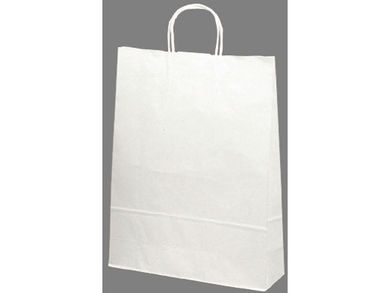 手提げバッグ 白無地 特大 10枚 タカ印 50-6400