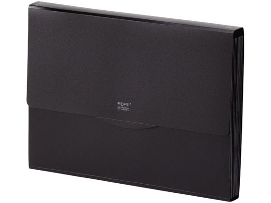 リクエスト 不透明ドキュメントファイル 黒 リヒトラブ G5800-24