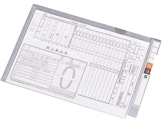 カルテフォルダー フラップ付シングル横型 B5 100枚 リヒトラブ HK2005