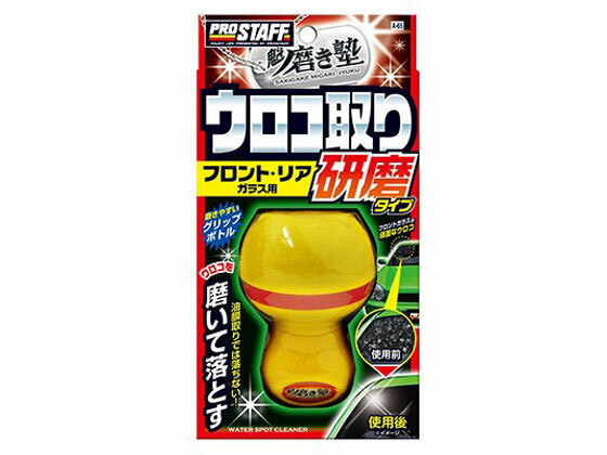 磨き塾 ウロコ取りクリーナー 研磨タイプ 45mL プロスタッフ A65