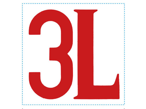 ɽ ó30 3L ֥ ϥ XTS-3030-11