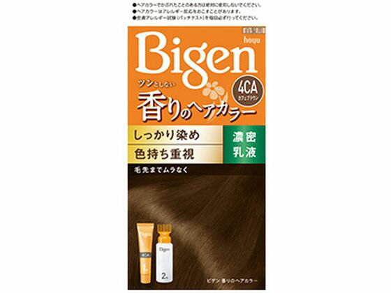 ビゲン 香りのヘアカラー 乳液 4CA ホーユー