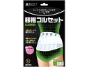 腰椎コルセット Lサイズ 1個 B・HOPE(4)