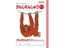 学習帳 かんじ 91字R サクラクレパス NP52