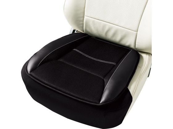 スポーツレザー 50×48cm (ヒップ型) BK ボンフォーム 5346-43BK