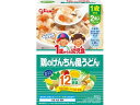 1歳からの幼児食 鶏のけんちん風うどん 2食 江崎グリコ