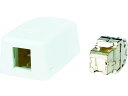 コーニング/Cat6A RJ45ジャック+露出型アウトレット(1ポート) コーニングインターナショナル 8354831