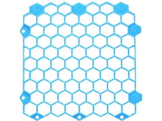 ݡɱꥸ祤ȥΥ ­ ֥롼 ȥ饹滳 2065388