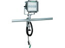 30W LED投光器 100V 30W 10m電線付 ハタヤリミテッド 4834348