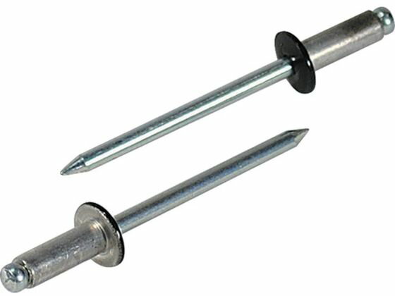 エビ/カラーブラインドリベット4-2アルミ／スチール(300本入)リベット長6.5 ロブテックス 7914351
