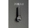 六角穴付ボルト M10×25mm 20個 エスコ EA949DE-11