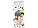 メンズビゲン グレーヘア ダークグレー ホーユー
