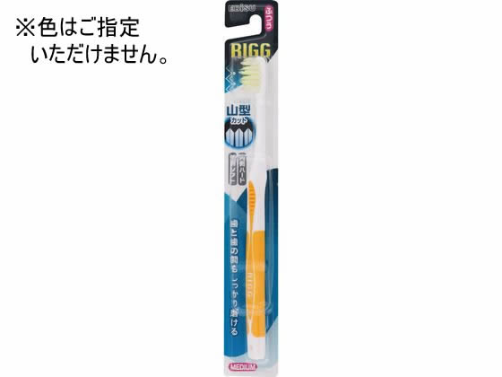 リグ山型ハブラシ ふつう エビス