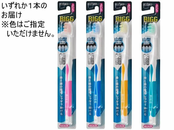 リグ山型ハブラシ ふつう エビス